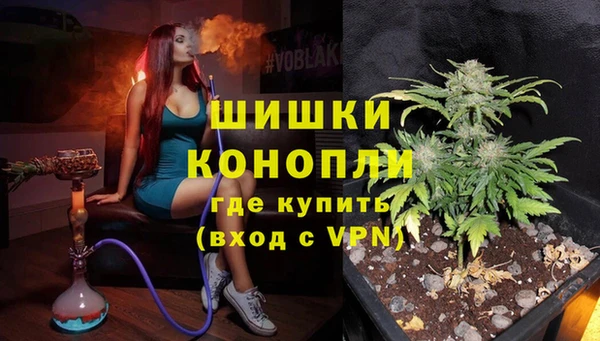 хмурый Богородск