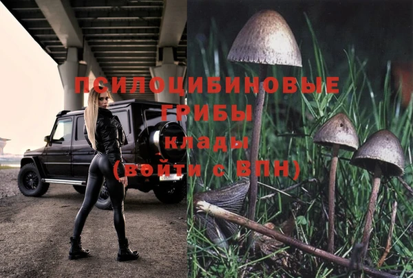 MESCALINE Беломорск